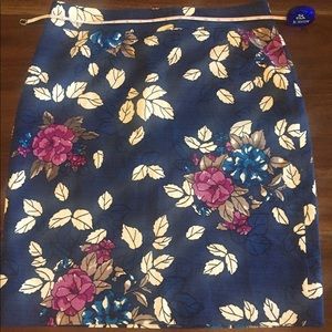 Ann Taylor Pencil Skirt